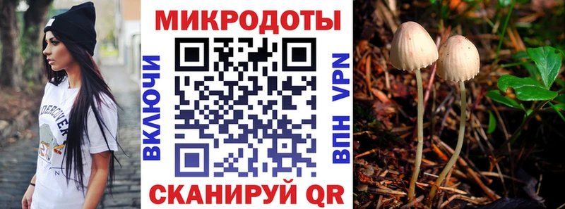 Галлюциногенные грибы мицелий  нарко площадка состав  Чёрмоз 